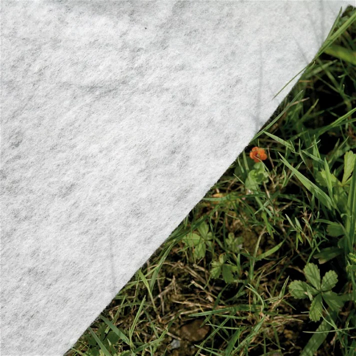 Piscina de fabricación ecológica en composite a base de madera y resina plástica - Imagen 4